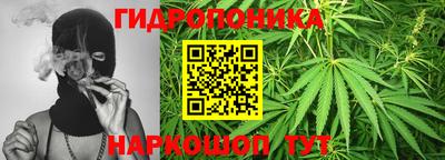 СК Абакан