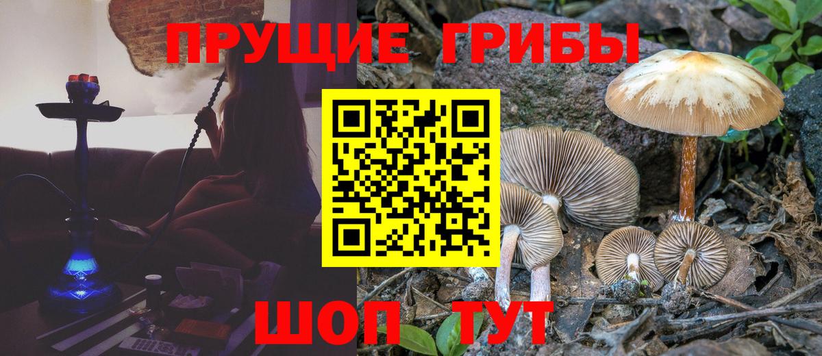 Астрахань  Псилоцибиновые грибы MAGIC MUSHROOMS  закладка  Вход с VPN  Галлюциногенные грибы Magic Shrooms 