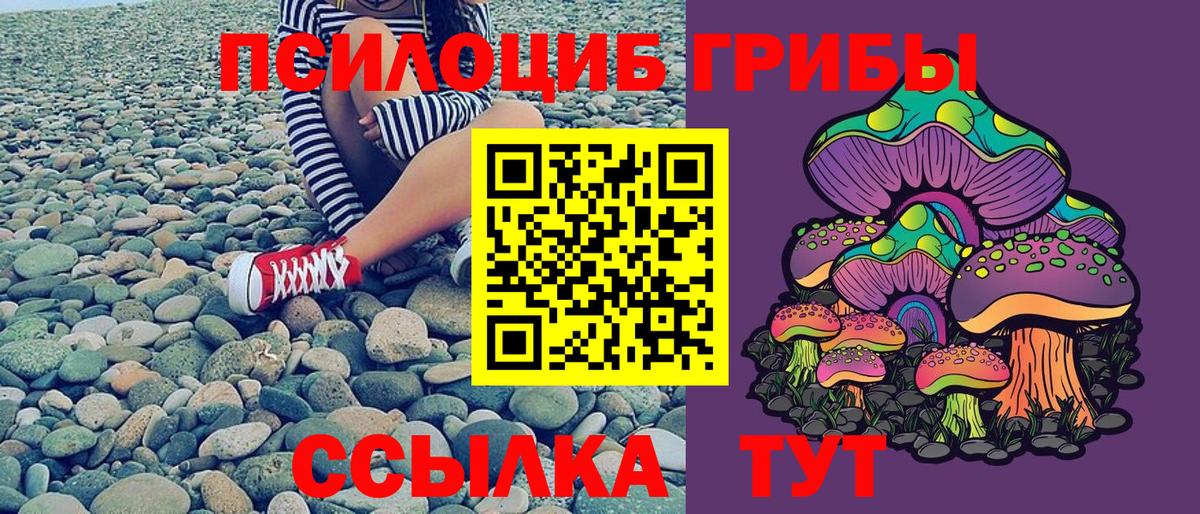 Галлюциногенные грибы MAGIC MUSHROOMS Астрахань